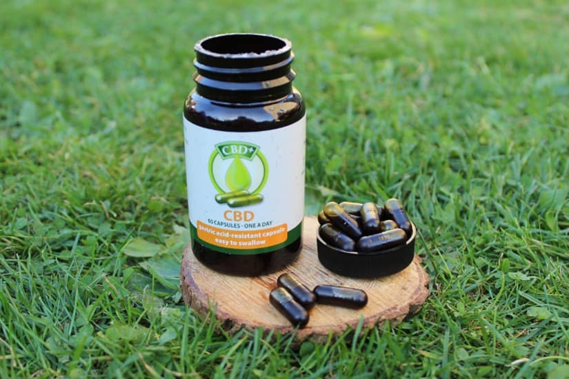 Jacob Hooy CBD capsule bottle and loose capsules on a wooden slice in grass